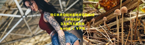 молекула духа Алзамай
