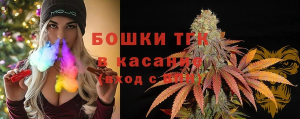 крисы Горняк