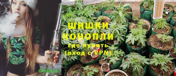 молекула духа Алзамай