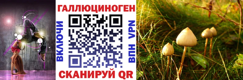 kraken ссылки  Пикалёво  Галлюциногенные грибы ЛСД  цены  
