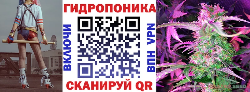 Канабис сатива  Пикалёво 